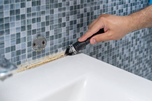 Trusted Frankenmuth, MI Mold Removal Experts
